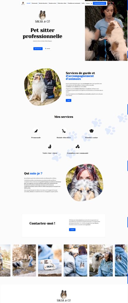 Page d'accueil du site internet Salsa & Co, réalisé par Vistalid
