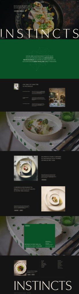 Page d'accueil du site internet Instincts, réalisé par Vistalid